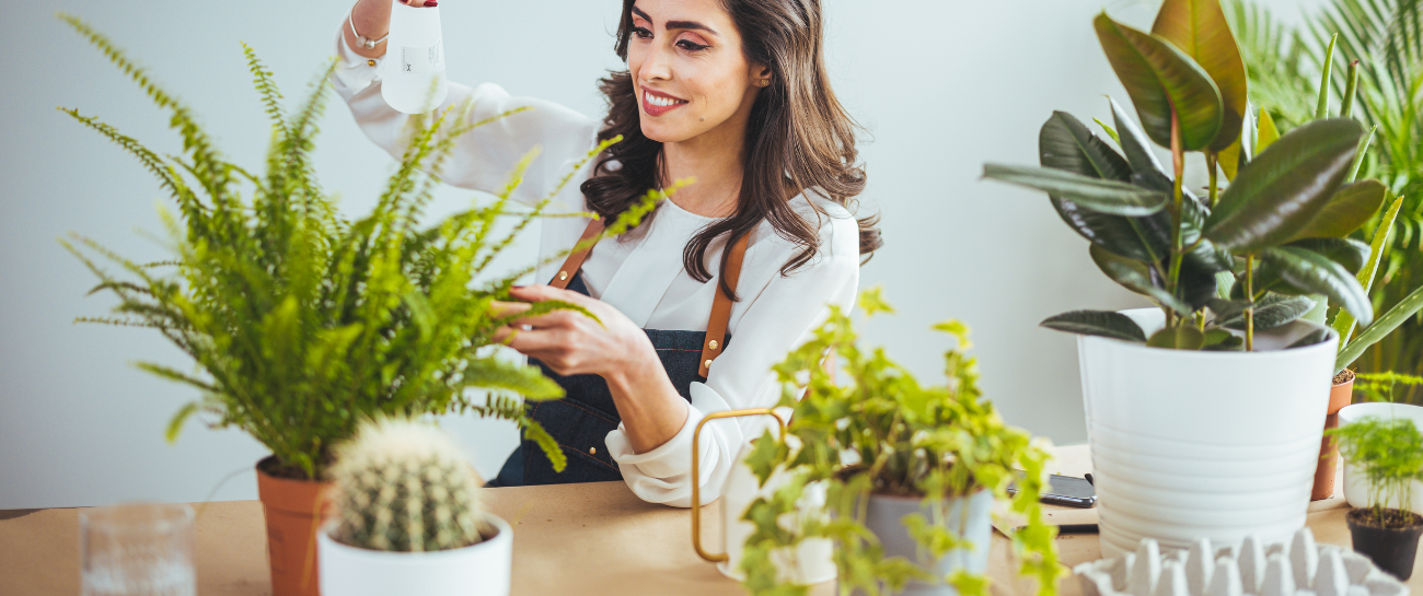 How To Prepare Your Indoor Plants for Winter ❄️