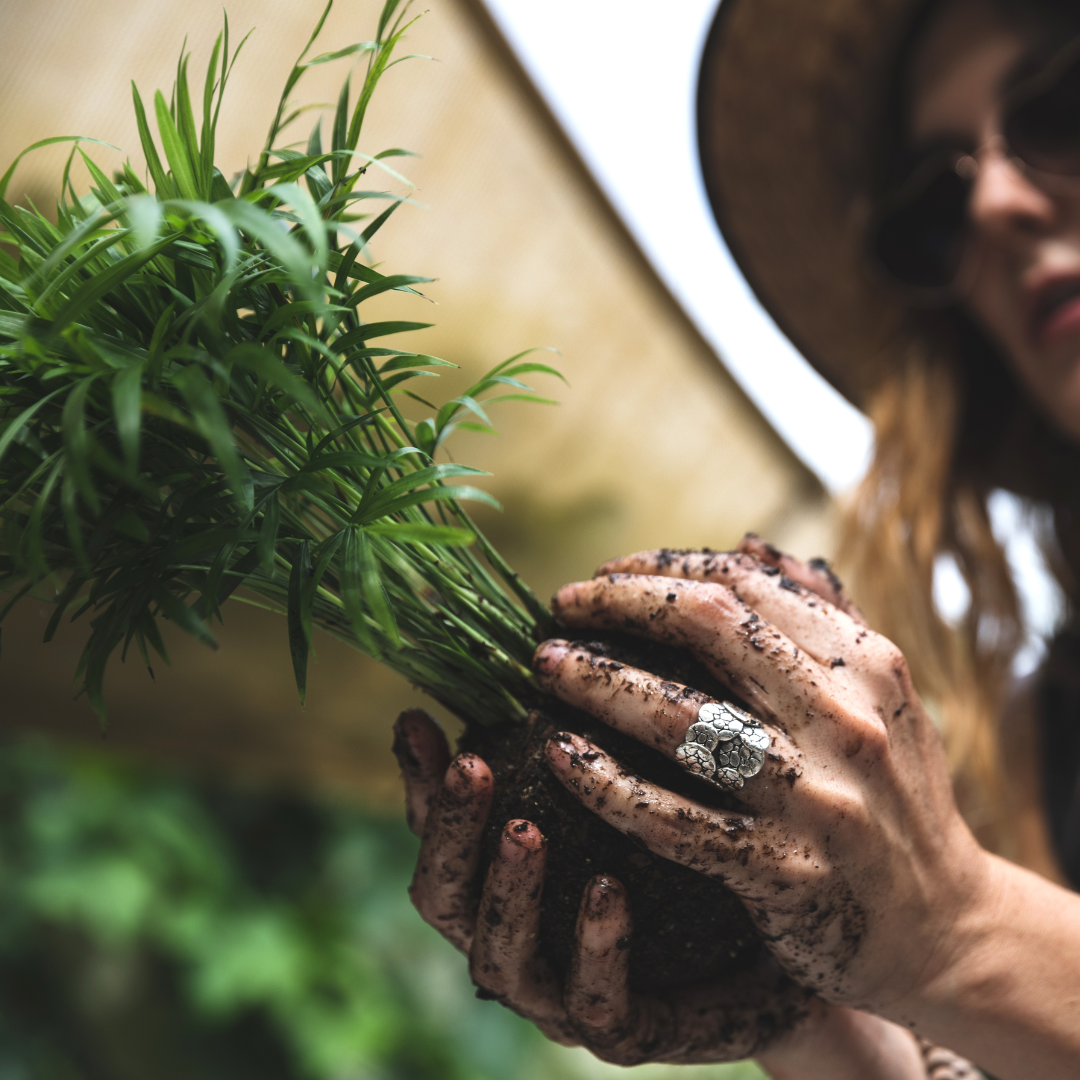 Kokedama: The Low-Maintenance Plant Trend You Need to Try