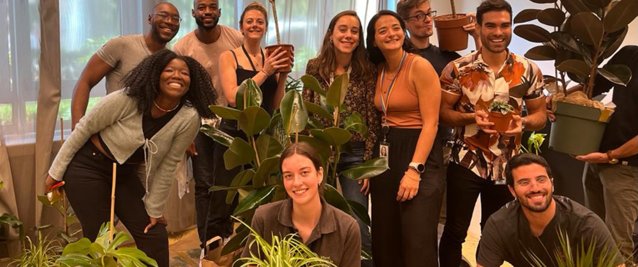 📣 Introducing: Plant Power Wellbeing Days | A Fresh Approach to Office Wellness 🌿