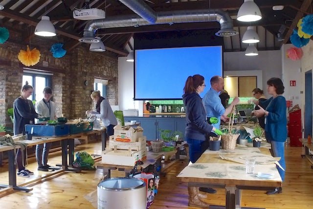 Easy Ways to Boost Team Morale - With a Fun Workshop - Plant Store