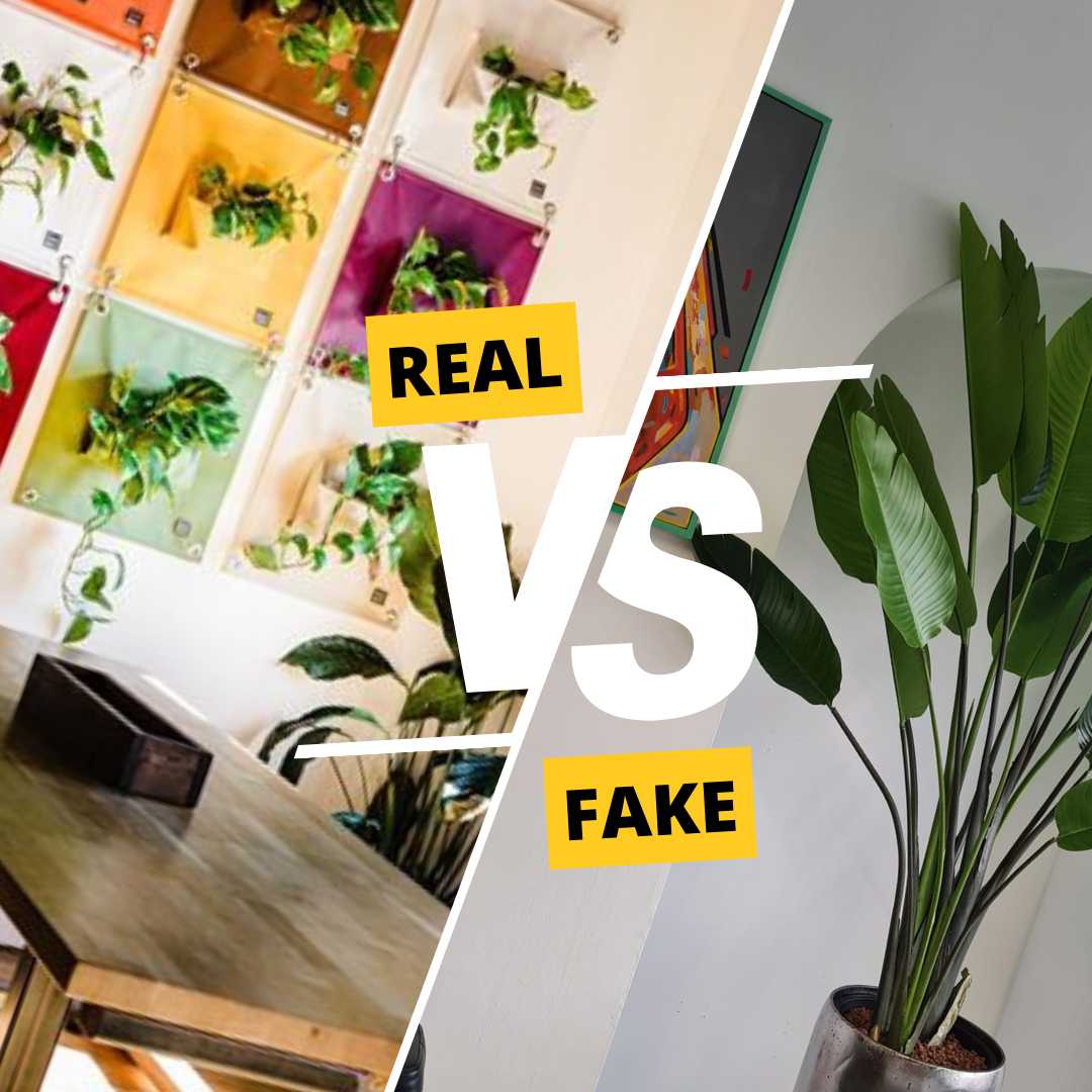 Faux foliage or the real deal? Which plants are best for the workplace?