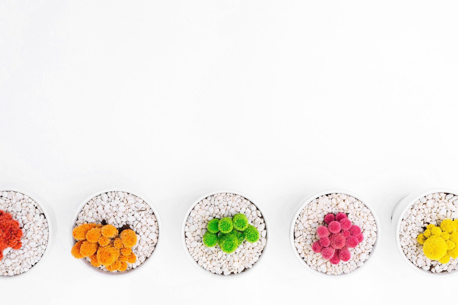 Why it Pays to Break the Rules in Work - Plant Store