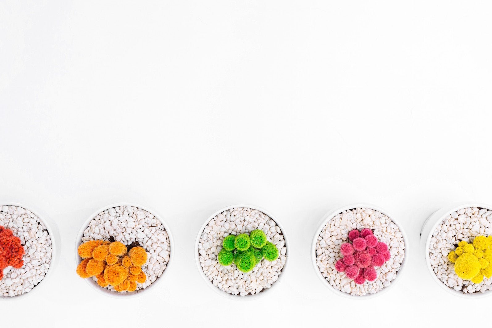 Why it Pays to Break the Rules in Work - Plant Store