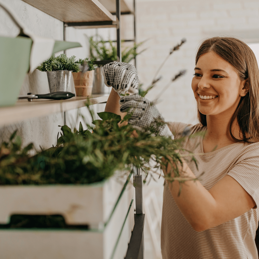 Get Your Plants Summer-Ready: The Hottest Tips for a Cool Indoor Oasis! - Plant Store