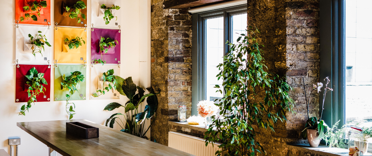 Beyond Aesthetics: The Real ROI of Plants on Workplace Wellbeing - Plant Store