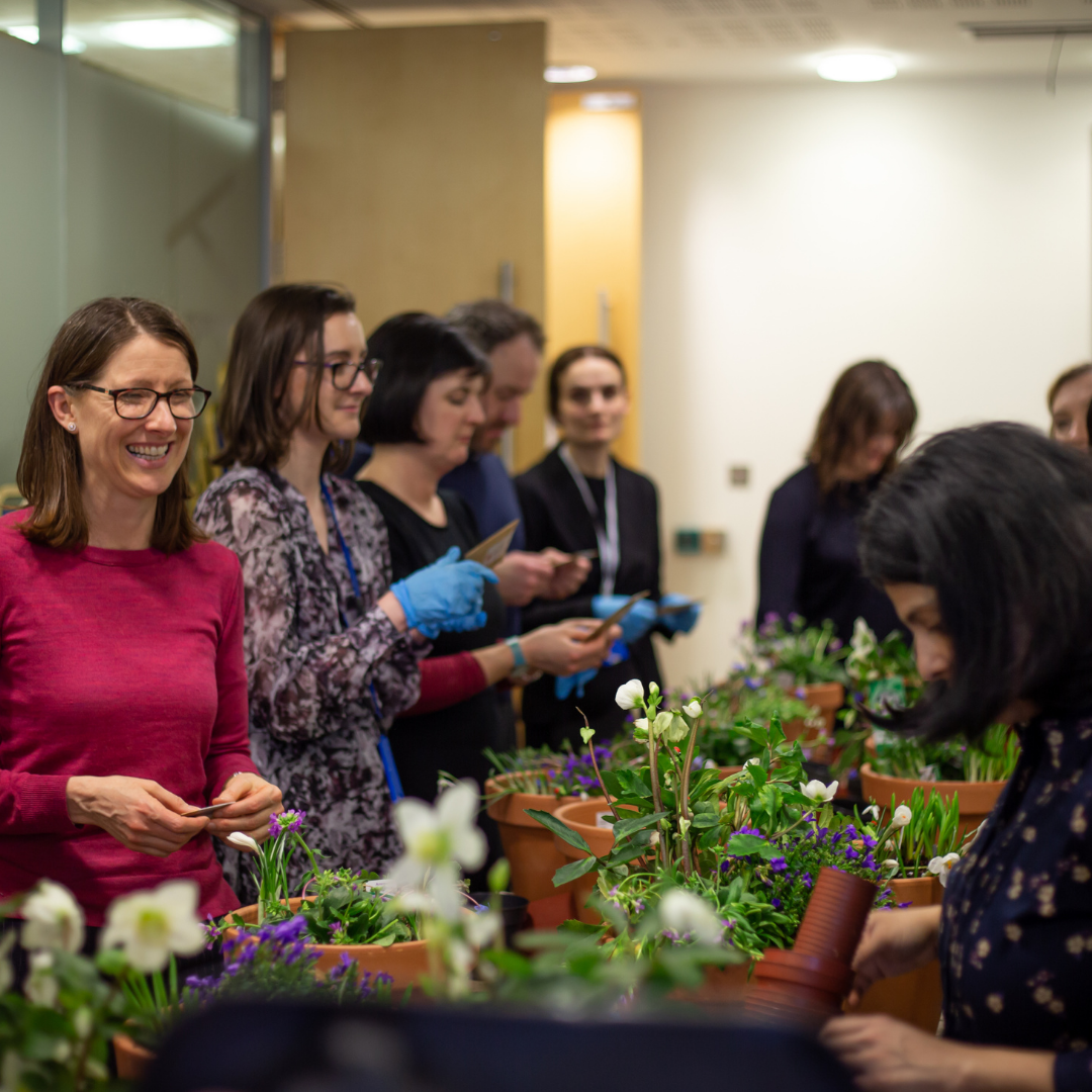 Back in the office? 5 Team-Building Workshops to Reconnect Your Team - Plant Store