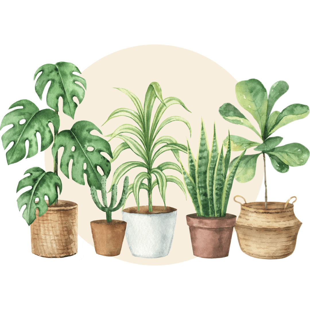 All Products - Plant Store
