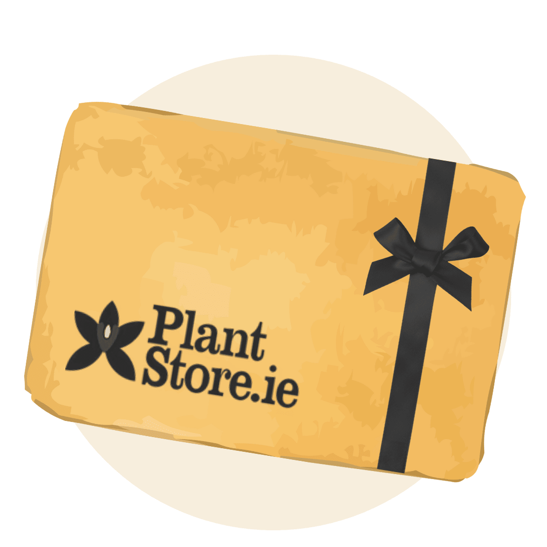 Gift Cards - Plant Store