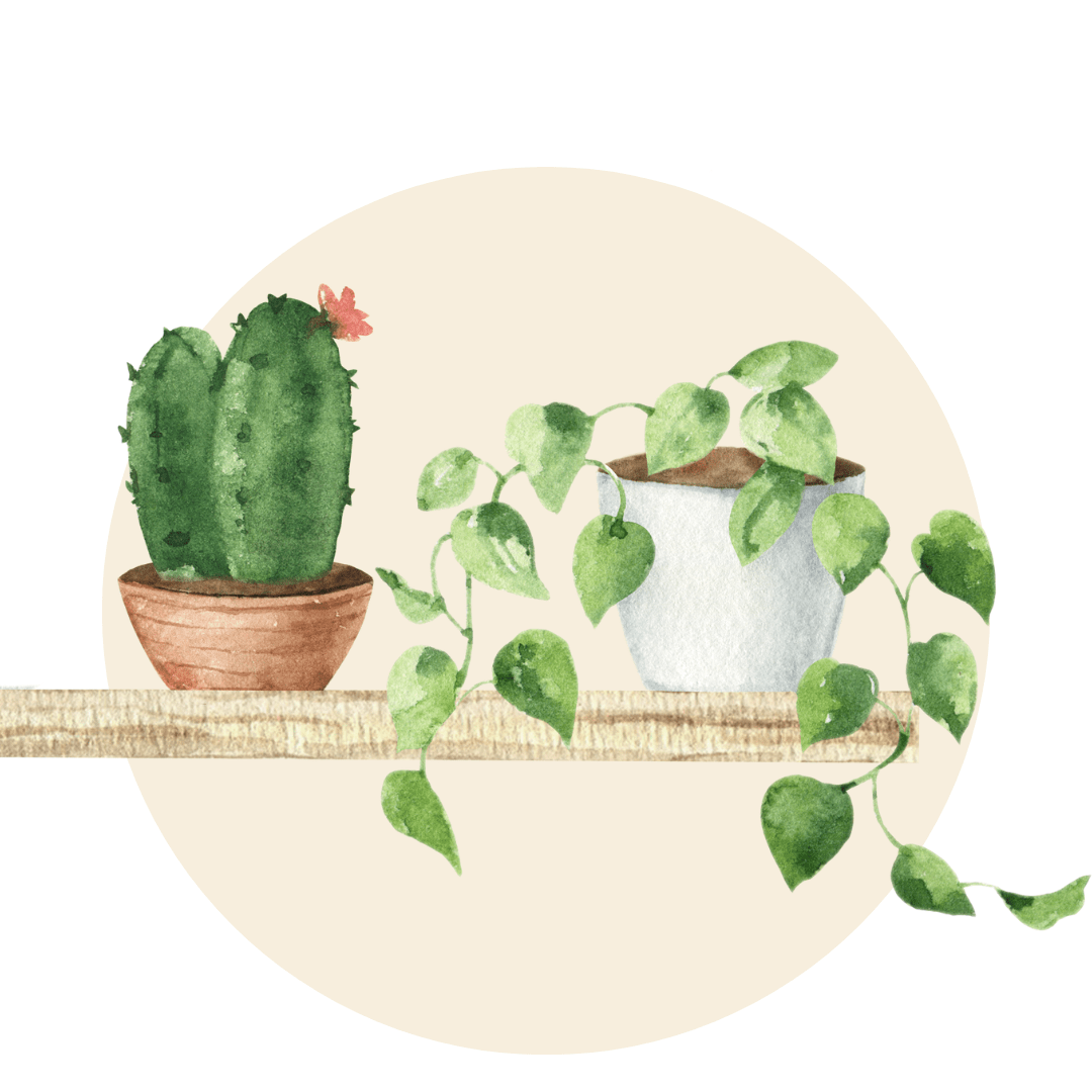 Faux Plants - Artificial - Plant Store