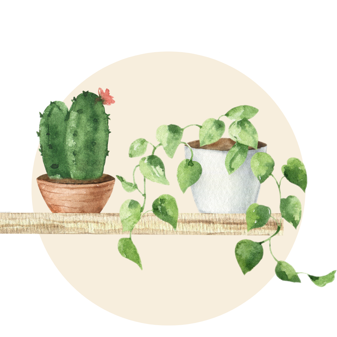 Faux Plants - Artificial