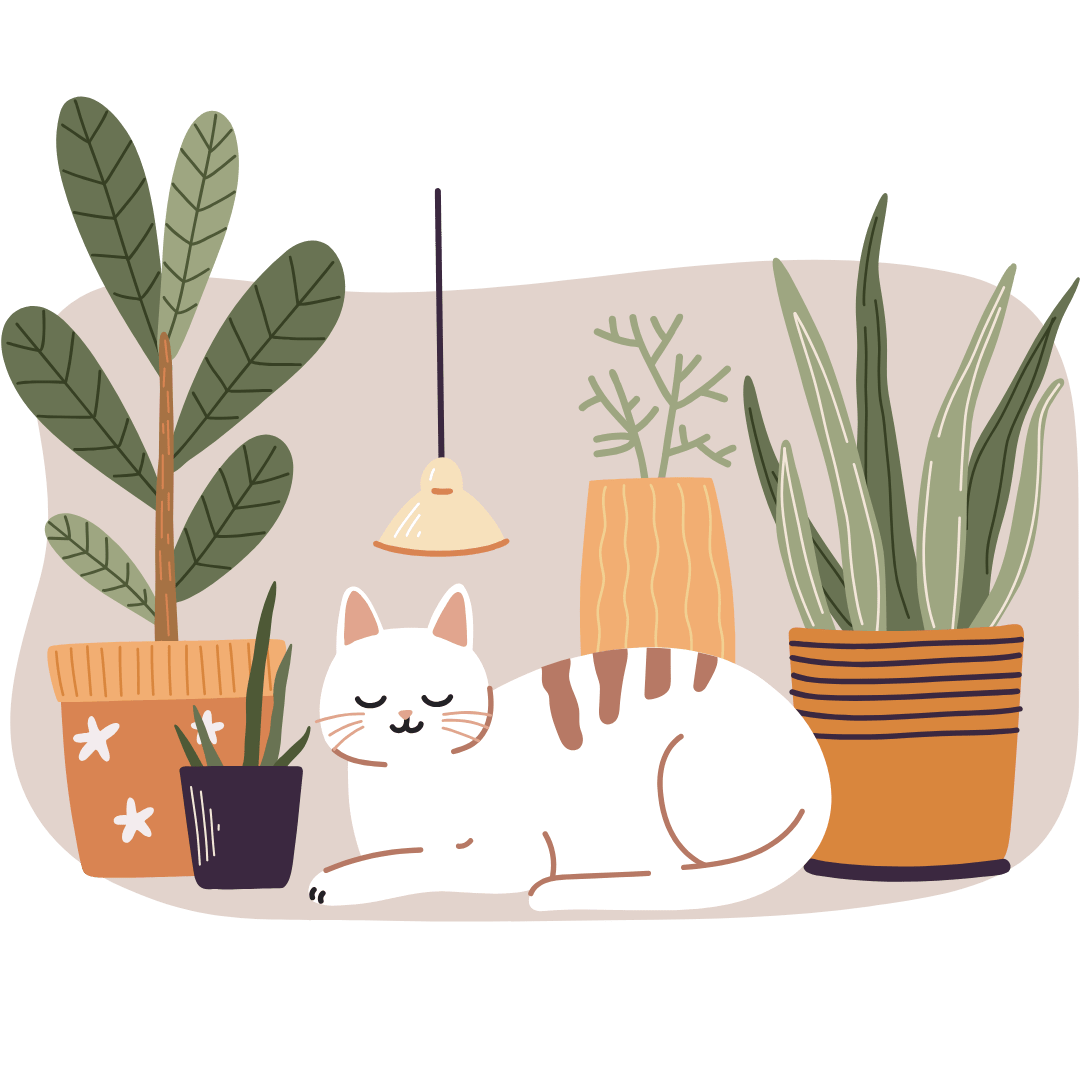 Pet Friendly Plants - Plant Store