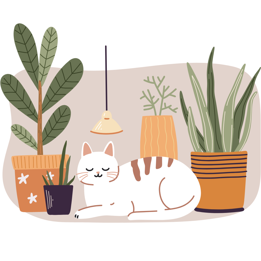 Pet Friendly Plants