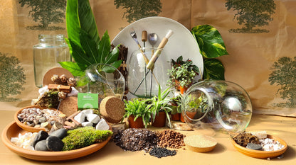 DIY Corked Terrarium Kit (Medium)