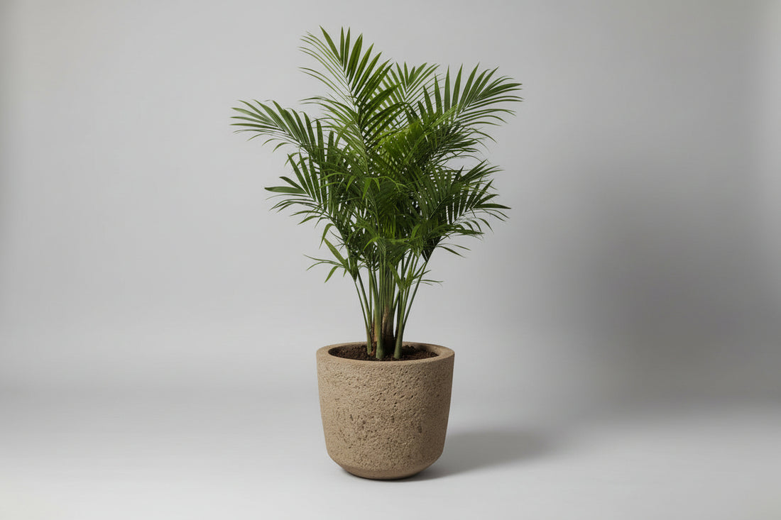 Concrete flower pot on a tiled floor with a magazine in the background