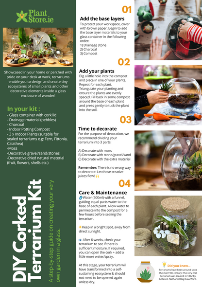 DIY Corked Terrarium Kit (Medium)