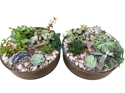Succulent Terrarium Bowl