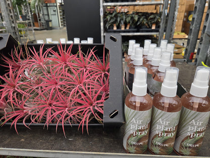 Corsa Air Plant Spray