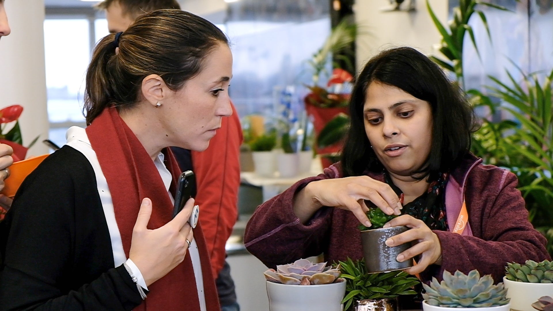 Load video: Plant Store Ireland Workday Pop Up
