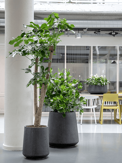 Anthracite Plant Pot (Rain Drop) Large