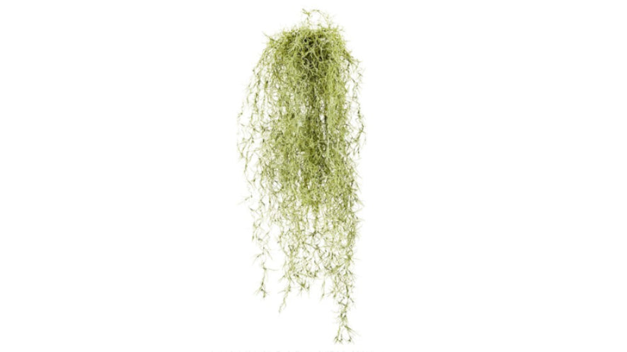 Artificial Plant