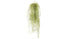 Artificial Plant