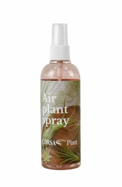 Corsa Air Plant Spray