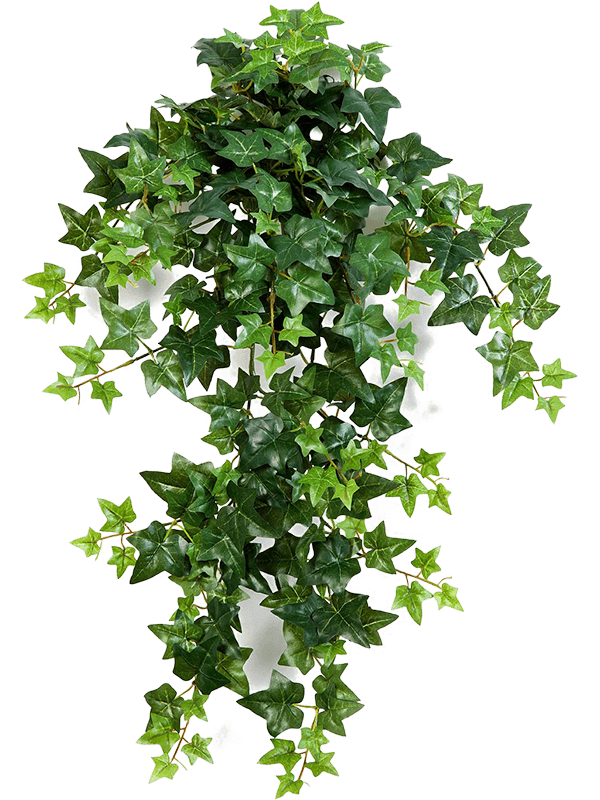 Artificial Hanging Ivy - 70cm