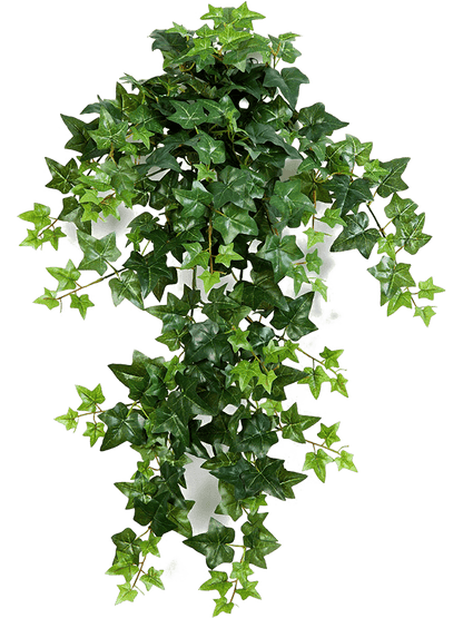 Artificial Hanging Ivy - 70cm - Plant Store