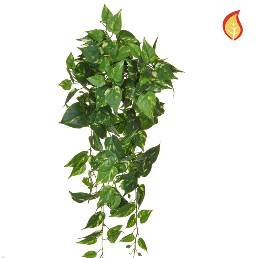 Artificial Trailing Pothos - 80cm (Fire Resistant)