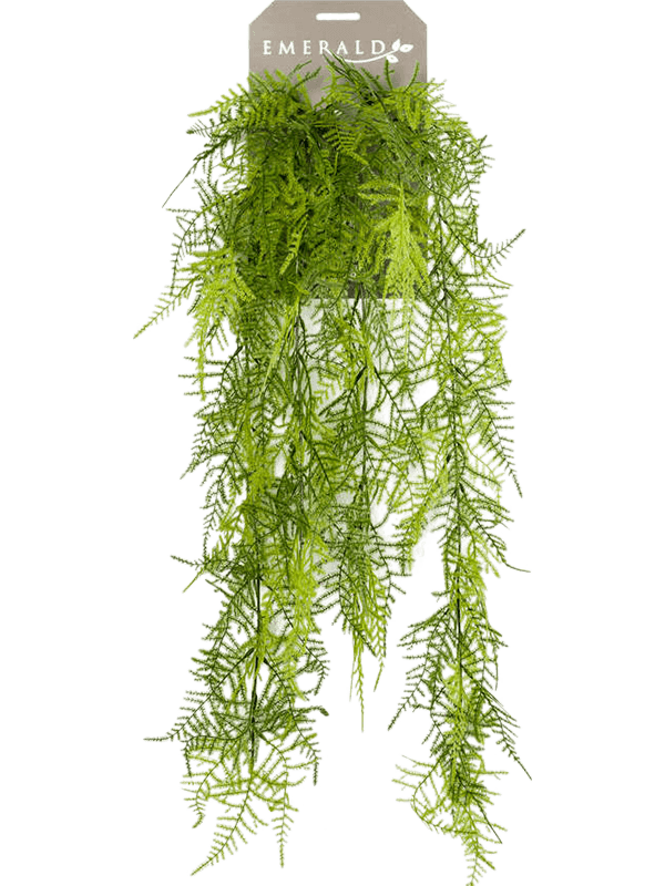 Artificial Asparagus Fern - 80cm