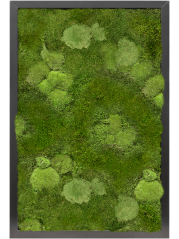 Moss Painting - 60cm