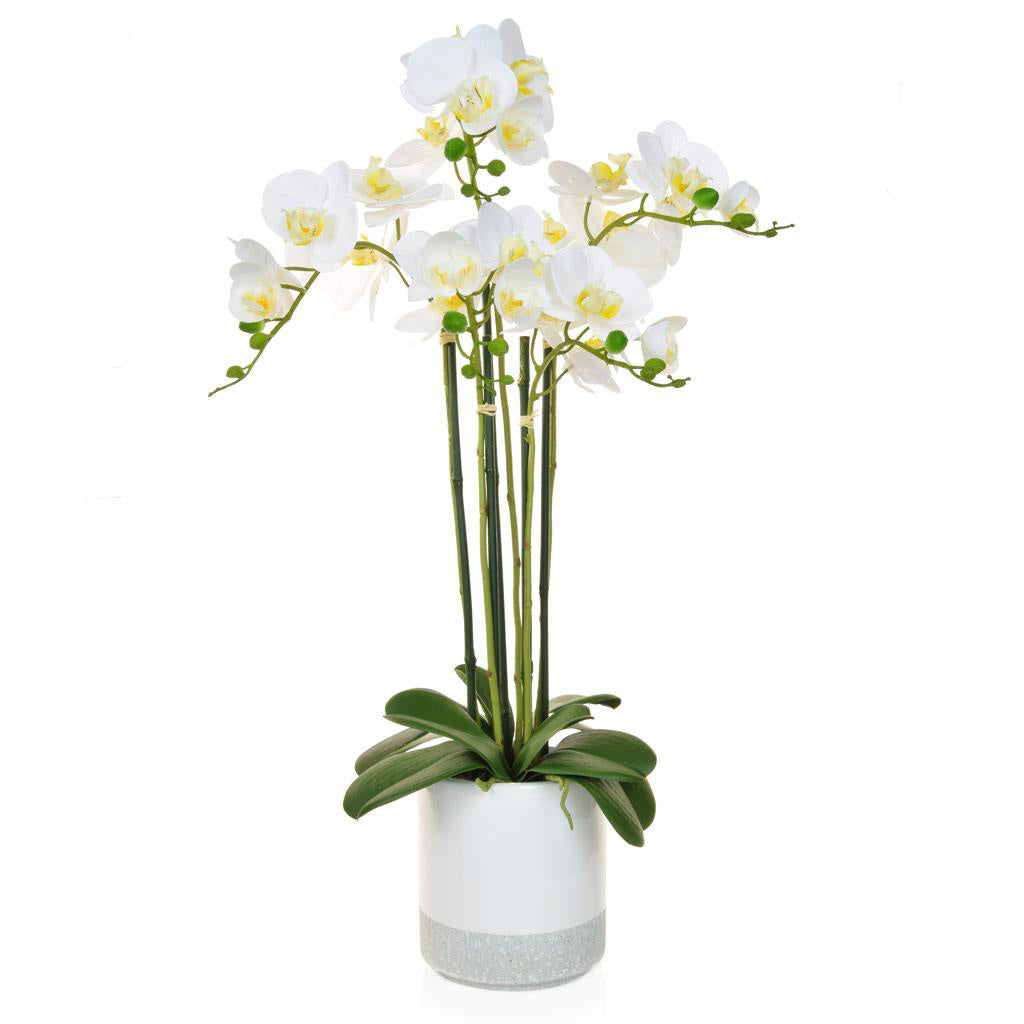 Artificial Phalaenopsis Orchid - 70cm
