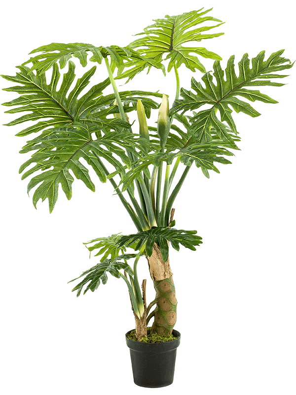 Artificial Philodendron - 130cm