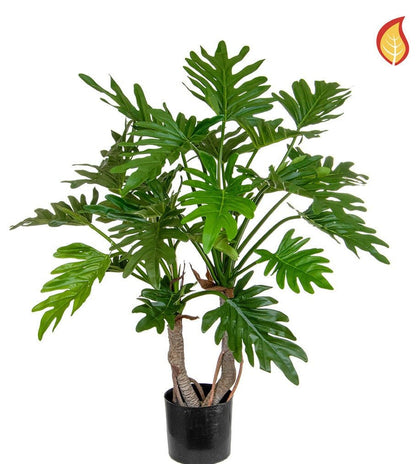 Small - Plant Store