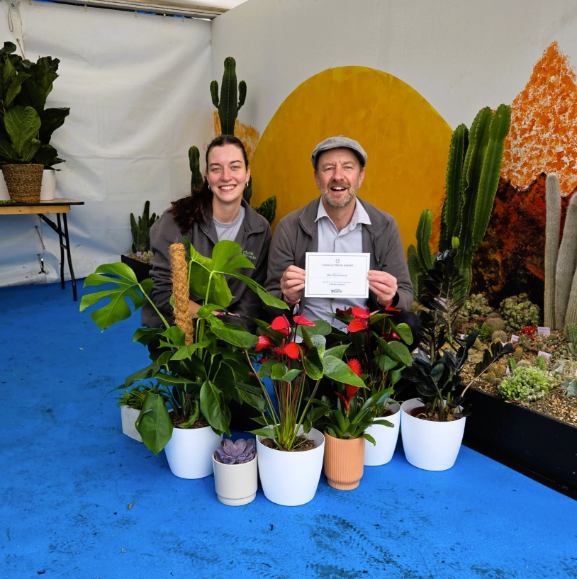 plant store ireland award BordBia Bloom 2025