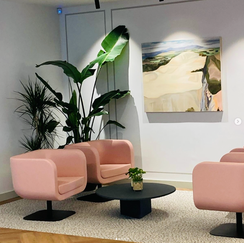 plant store ireland office plants installation