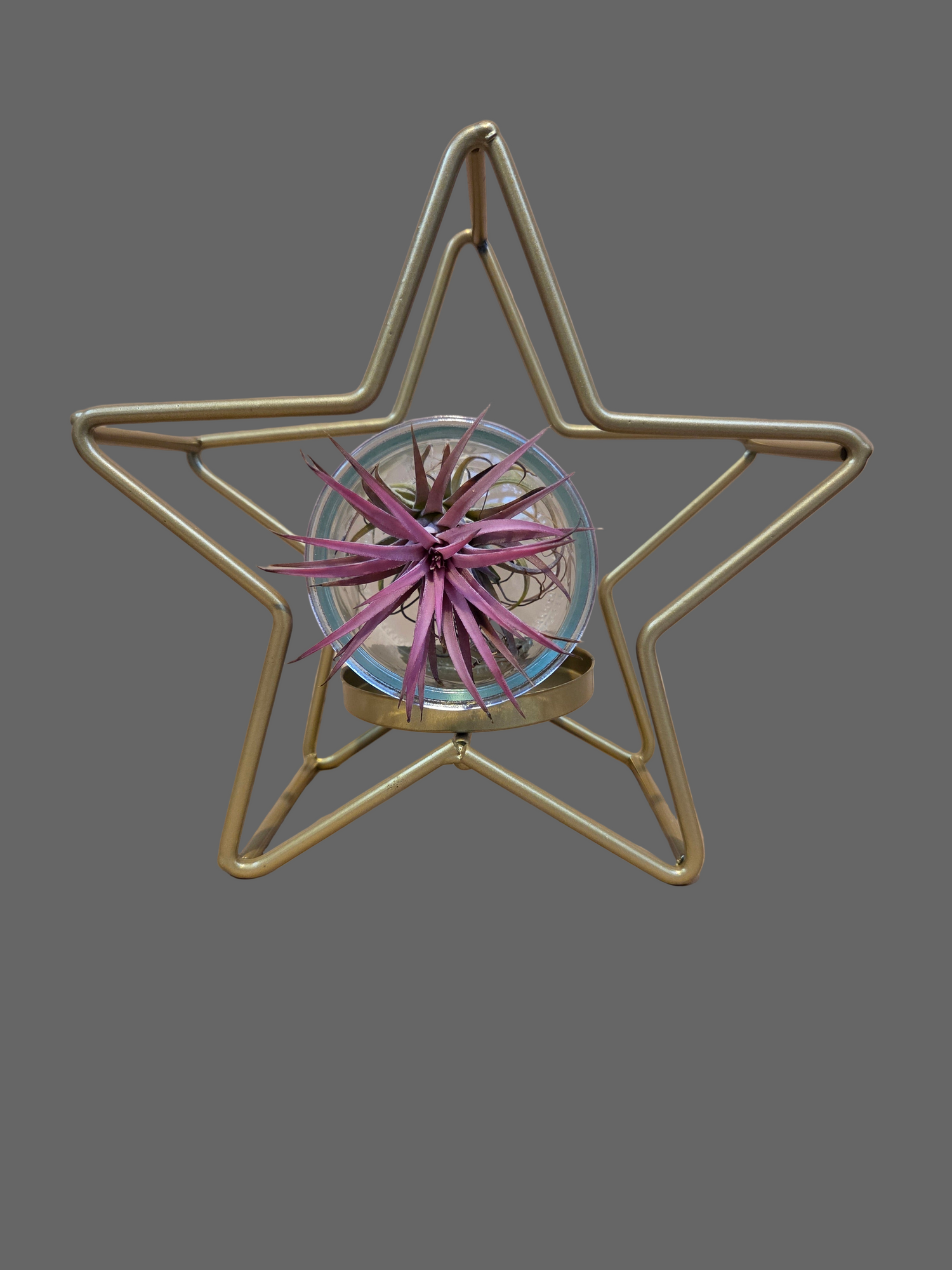 Christmas Star - Glass Container with Airplant