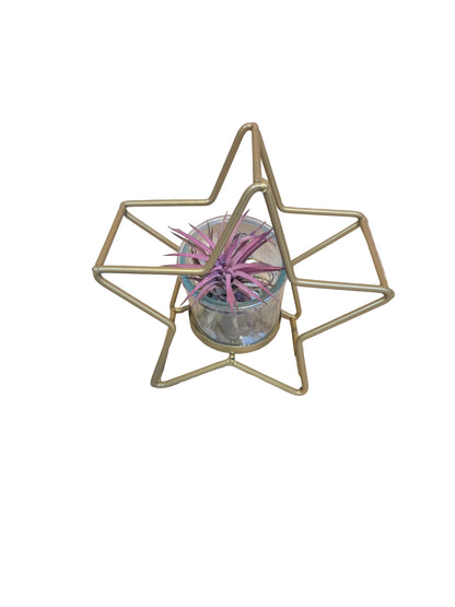 Gold star-shaped decorative item with a glass container on a beige surface