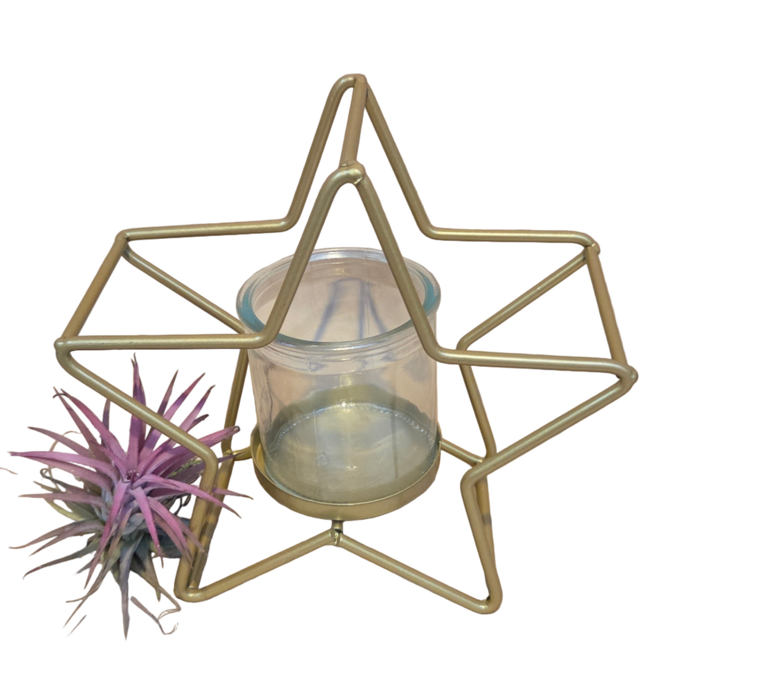 Christmas Star - Glass Container with Airplant