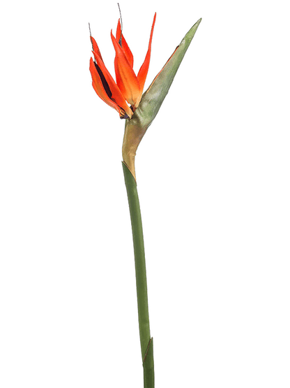 Artificial Strelitzia Bird of Paradise Flower - Plant Store