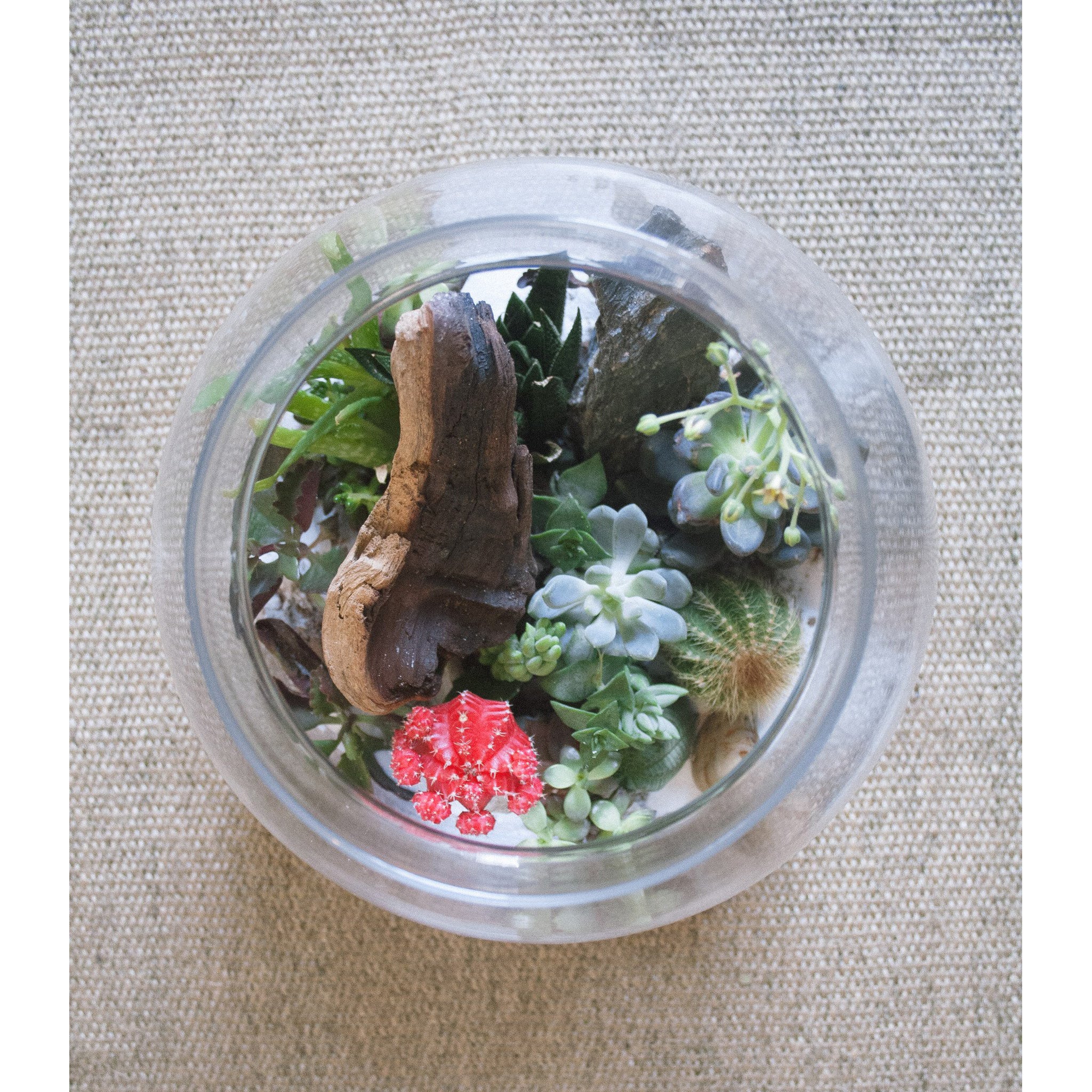 Terrarium Bowl