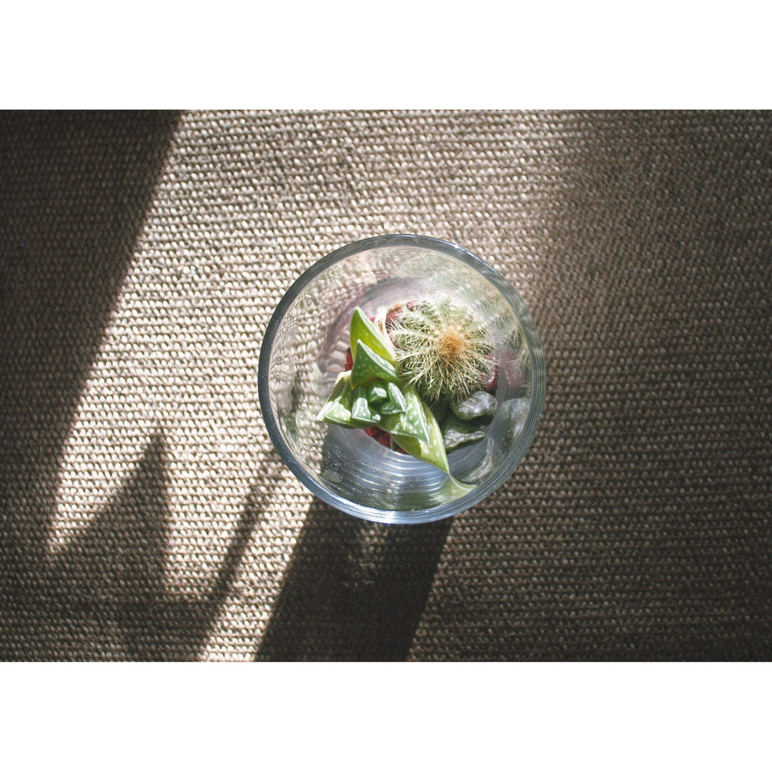Vase Terrarium