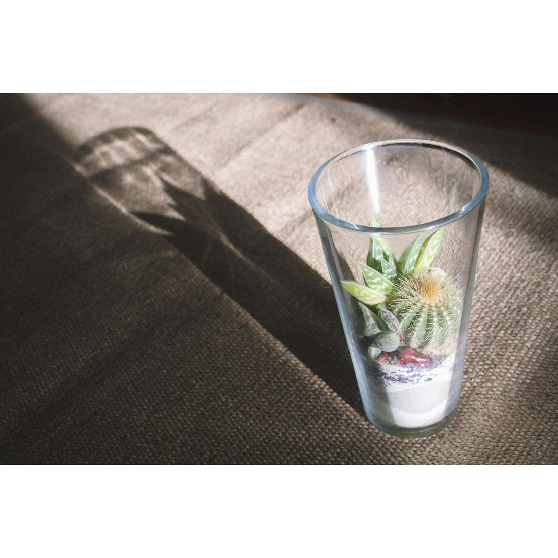 Vase Terrarium