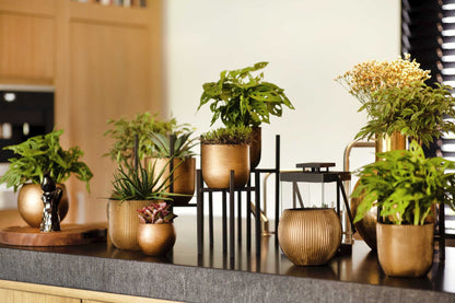 Capi Lux Retro Planter - Gold
