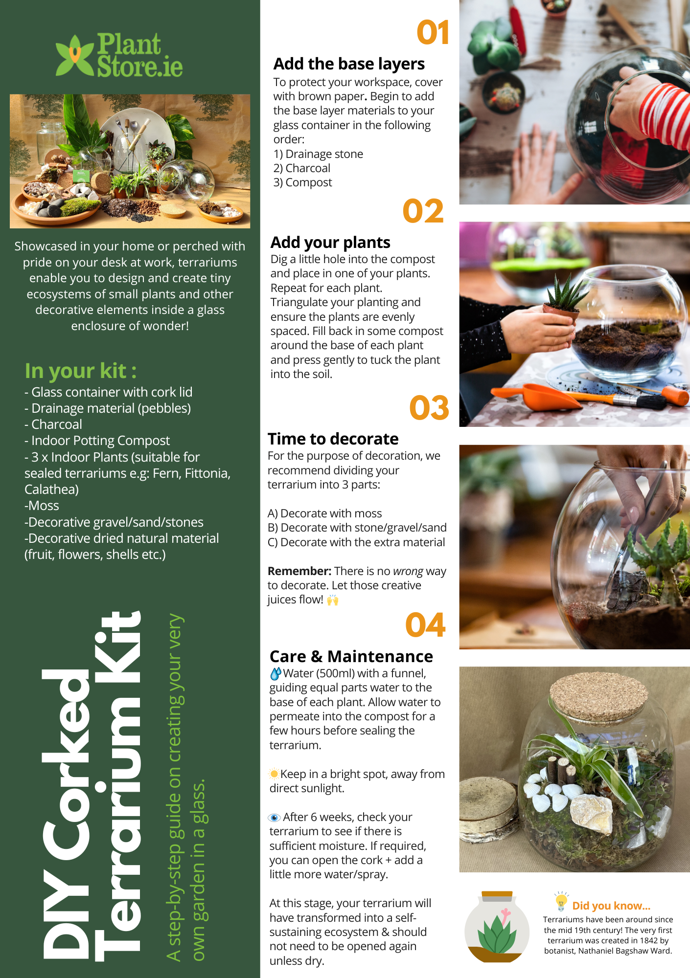 DIY Corked Terrarium Kit (Large)