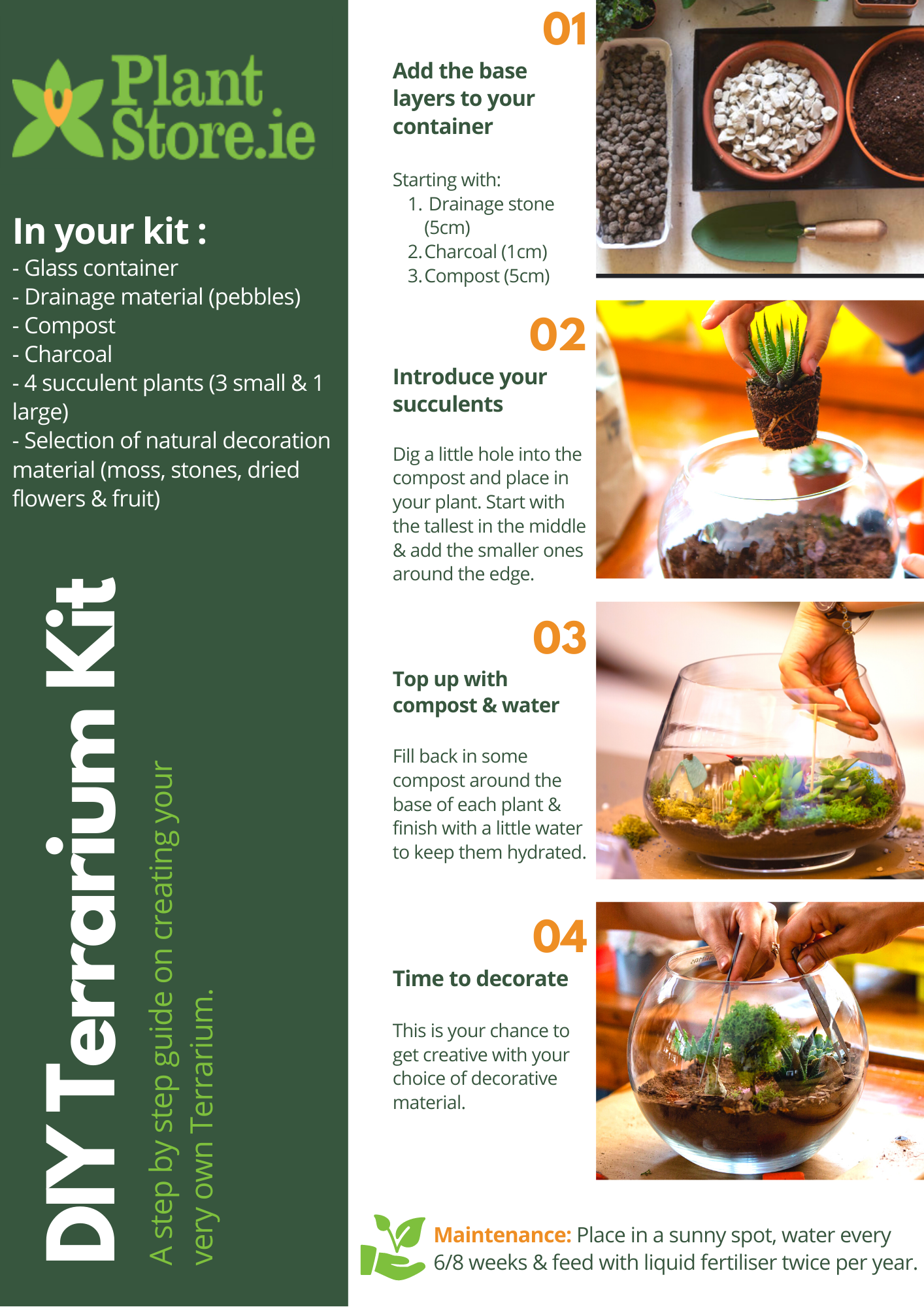 Create Your Own Succulent Terrarium Kit (Small)