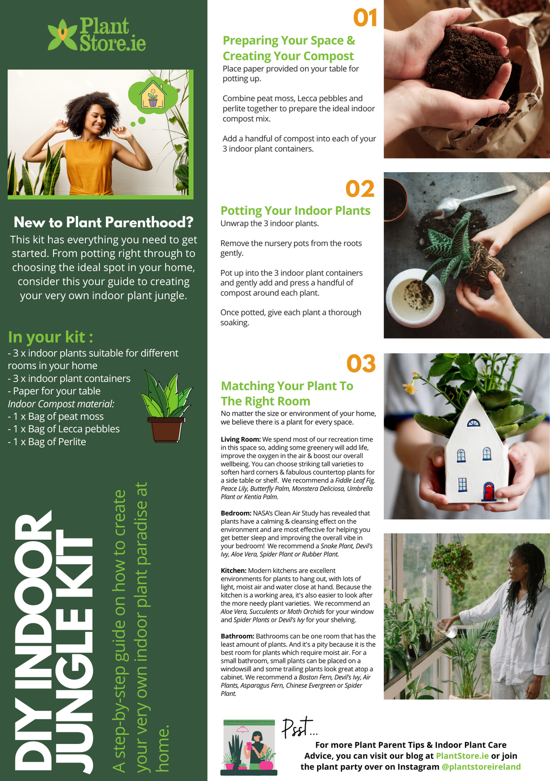 DIY Indoor Plant Jungle Kit (Medium)