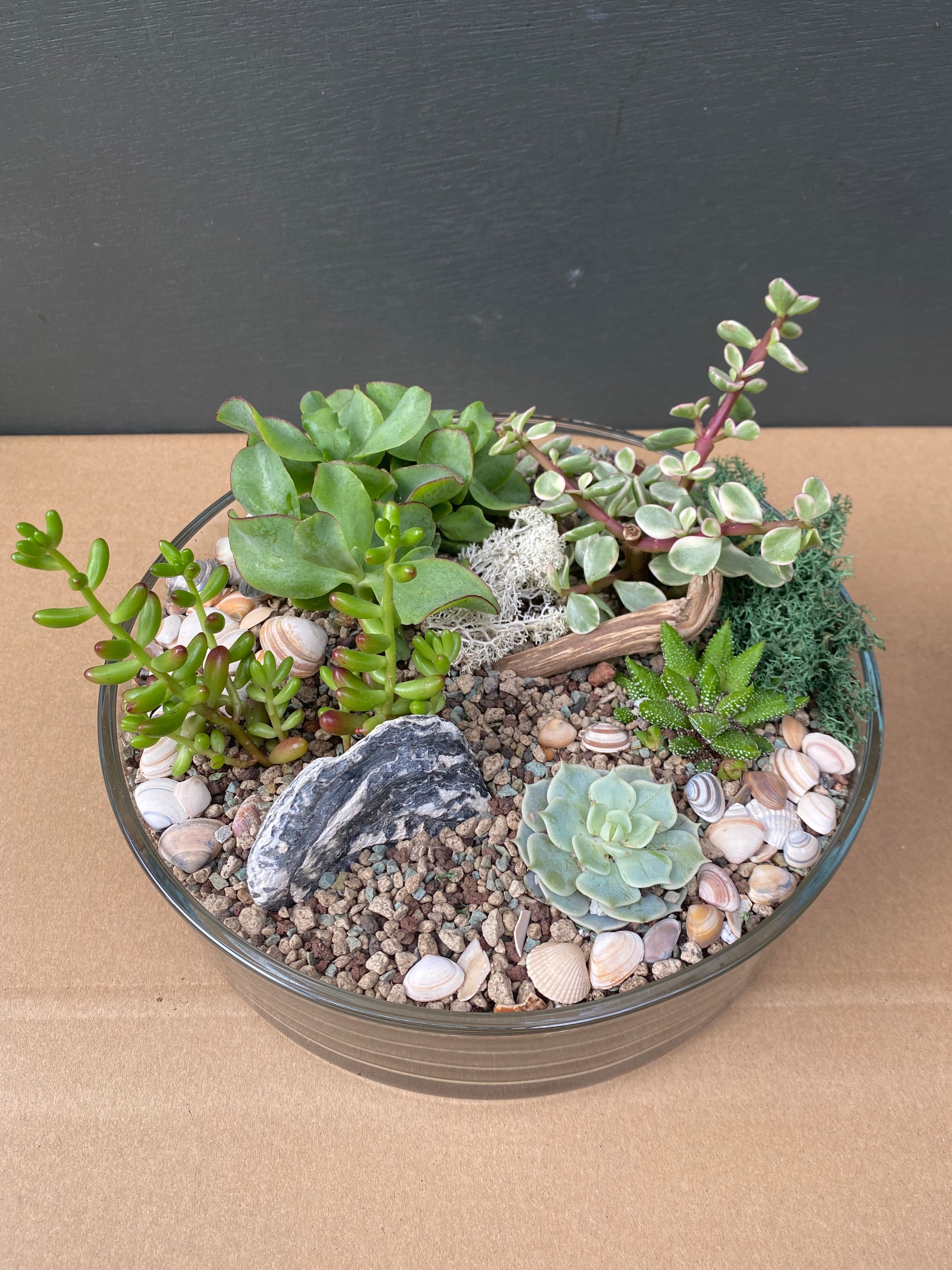 Terrarium Bowl