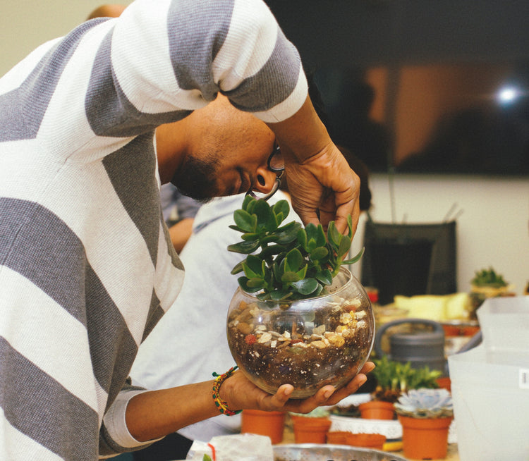 DIY Terrarium Plant Store