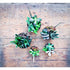Succulent Saucepan Set (two saucepans) - Plant Store